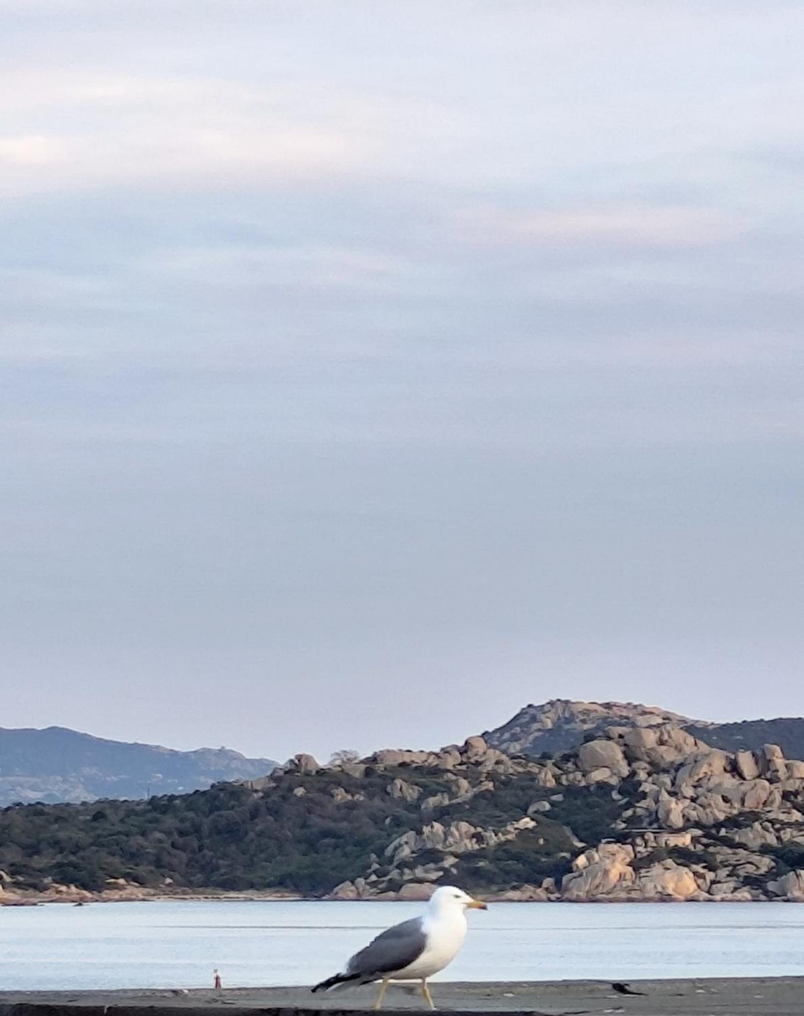 Soul Apartment La Maddalena La Maddalena  Ngoại thất bức ảnh